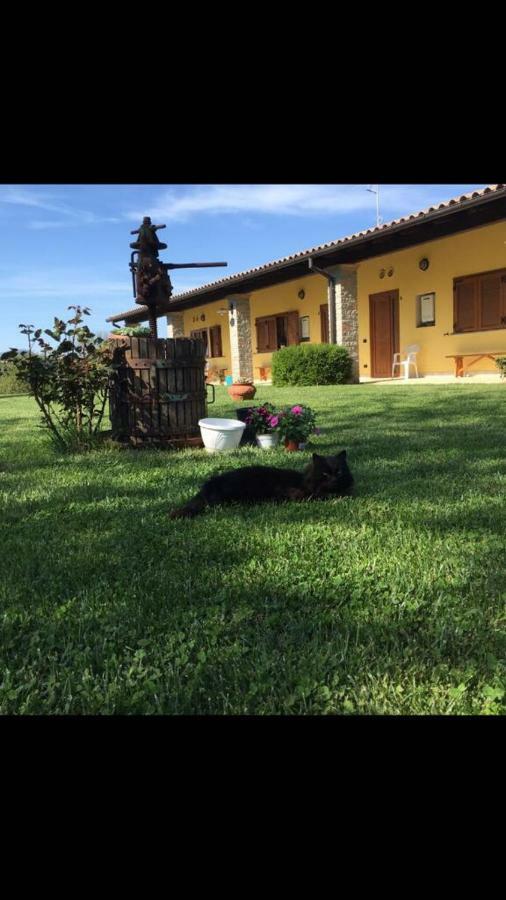 Agriturismo La Noce Bassano Romano Экстерьер фото